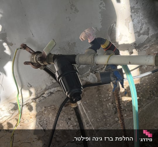 מערכת צנרת מים חיצונית עם מסנן מים שחור וצינור גינה